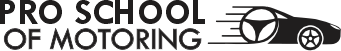 Pro School of Motoring logo – Professional Driving Lessons in South West London