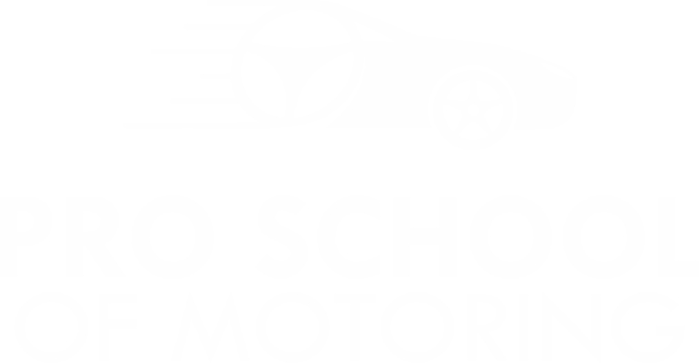 Pro School of Motoring logo – Professional Driving Lessons in South West London